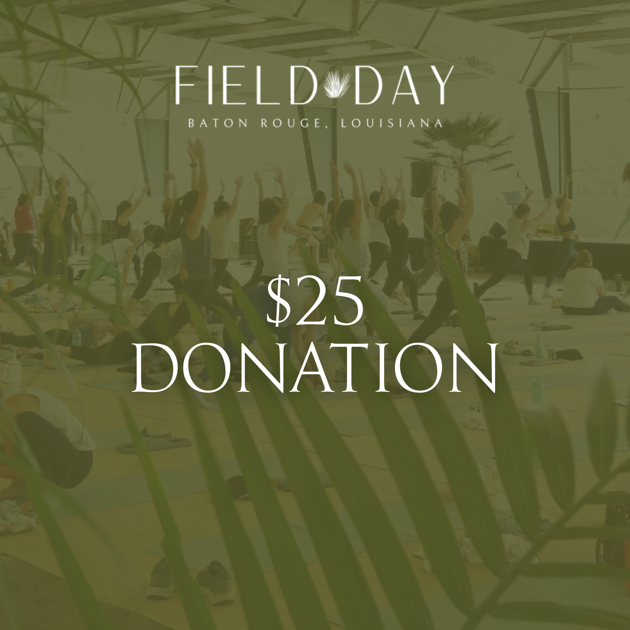$25 Donation