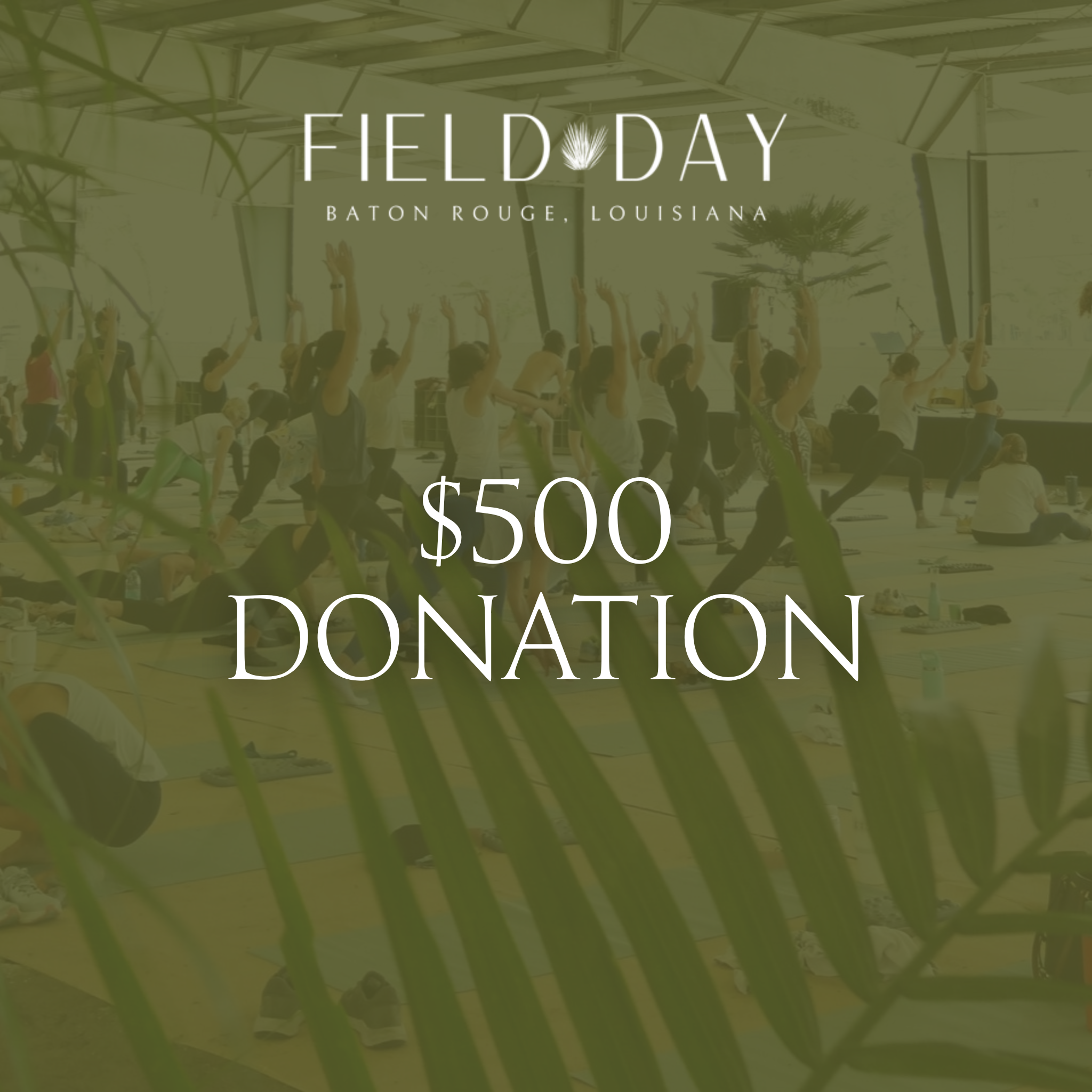 $500 Donation