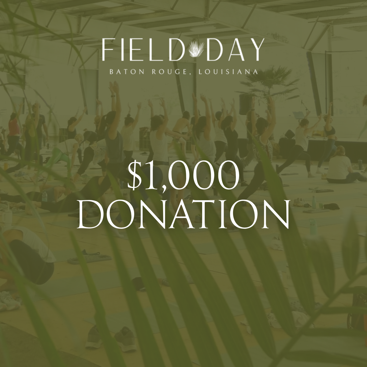 $1,000 Donation