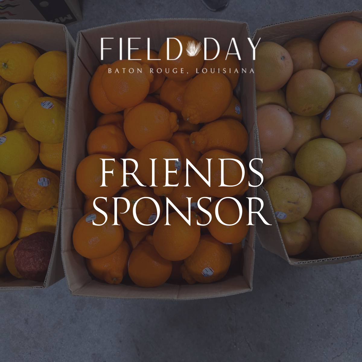 Friends Sponsor