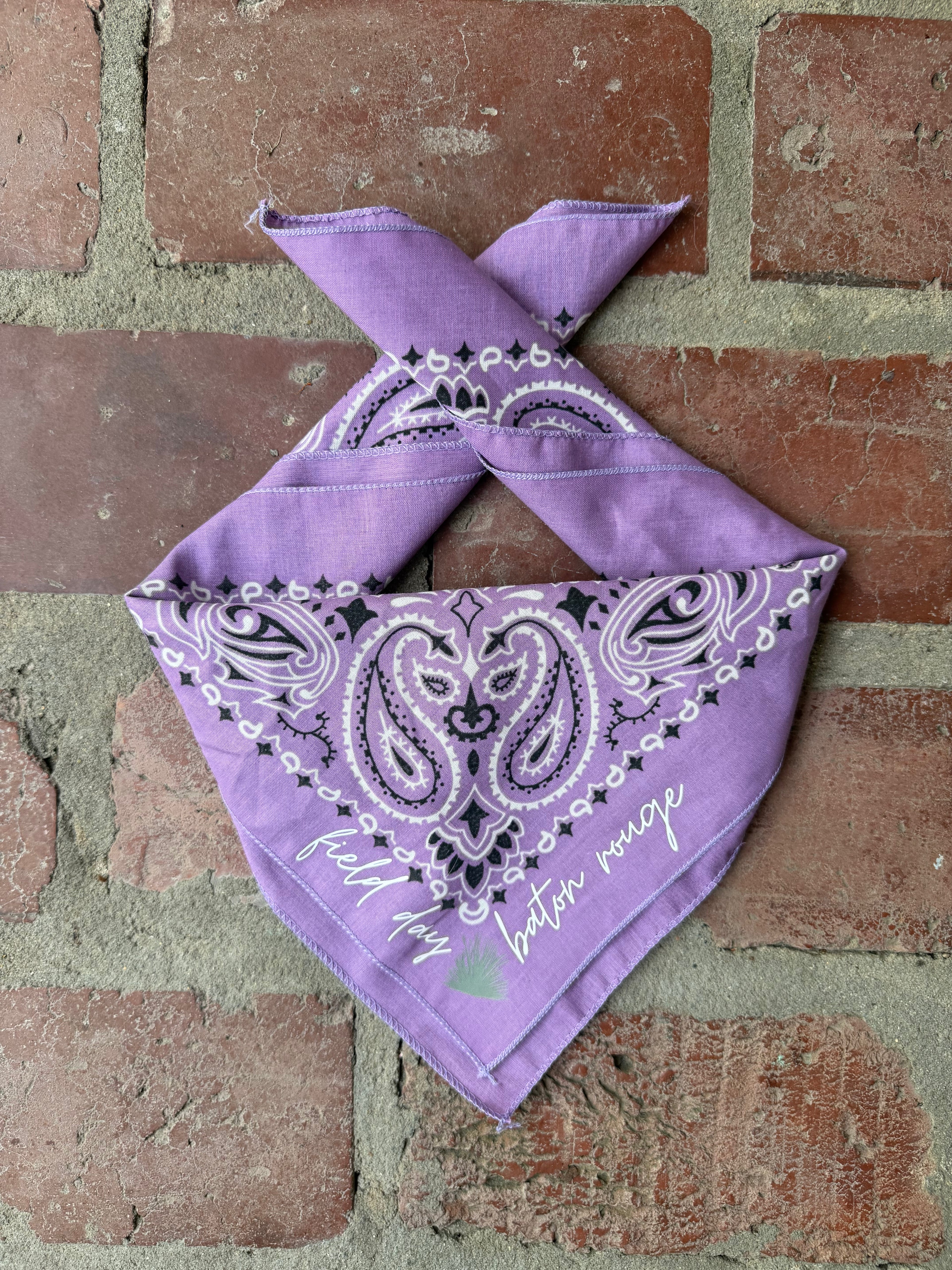 Field Day Bandana